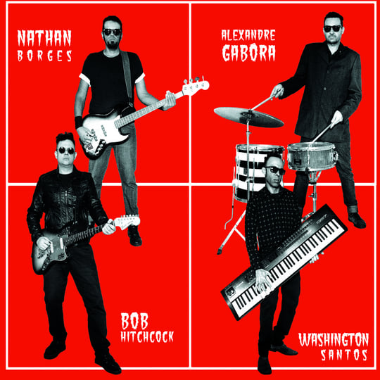 It's Alive ! (CD/digital) - SC012 | Hitchcocks | Surf Cookie records