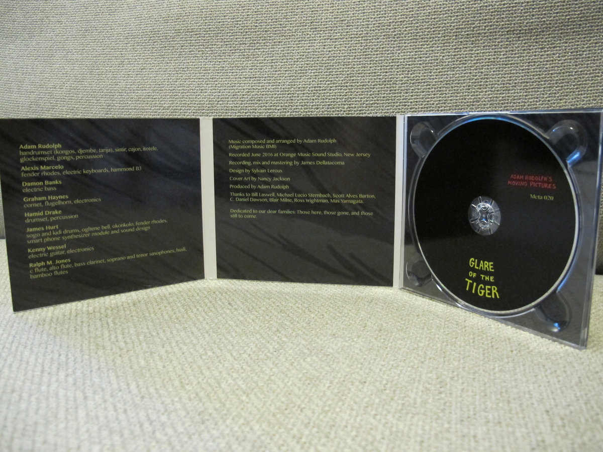 英2LP Adam Rudolphs Moving Pictures Glare of the Tiger 020LP  Records /00520 Glare of the Tiger | Adam Rudolph's Moving Pictures