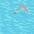 Dolphin Hotel image
