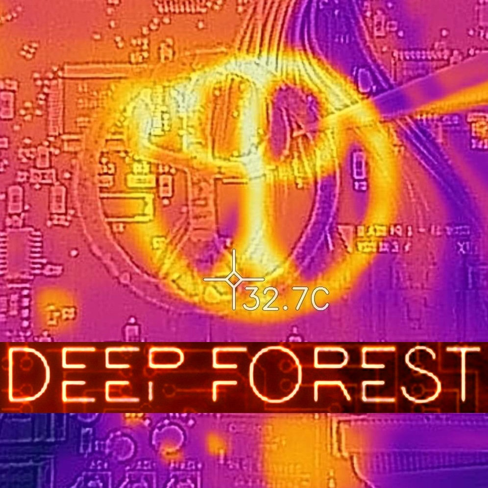 本物の Deep Forest Deep | FOREST DEEP | Symphonic ミュージック