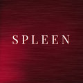 Spleen image