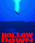 Hollow Down image