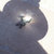 Eran Greenberg thumbnail