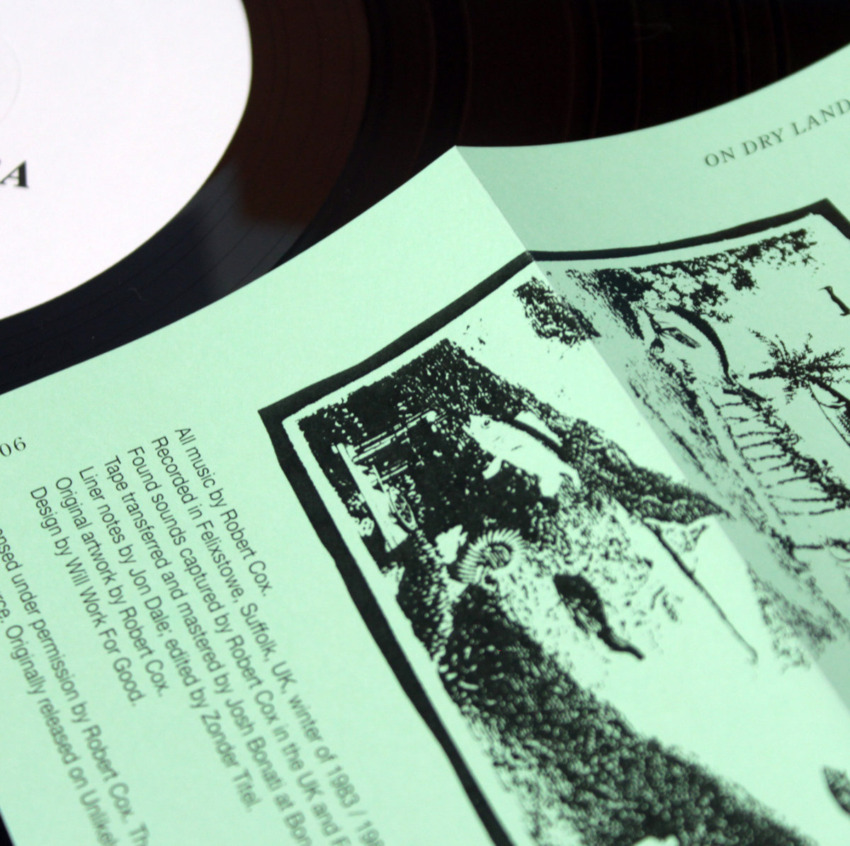 On Dry Land | Rimarimba