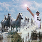 terryohms thumbnail
