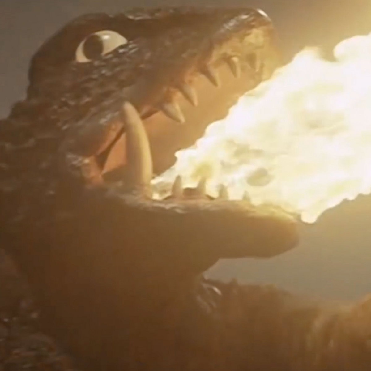 Breach 'Turtle Dance' EP | Breach, image size:1200x1200