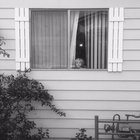 Bukowski’s Ghost thumbnail