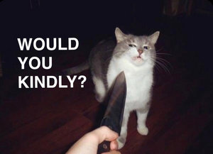 Music Would You Kindly?