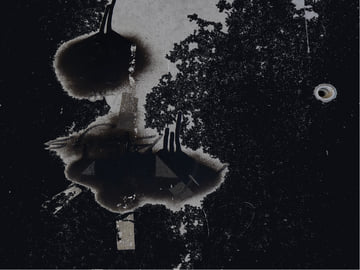 Limited Edition Double Compact Disc, image 3
