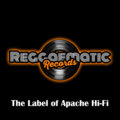 Reggaematic Records image