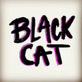 Black Cat image