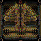 symmetricwsp thumbnail