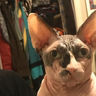 Martín Rodriguez thumbnail