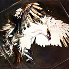 sardonichawk thumbnail