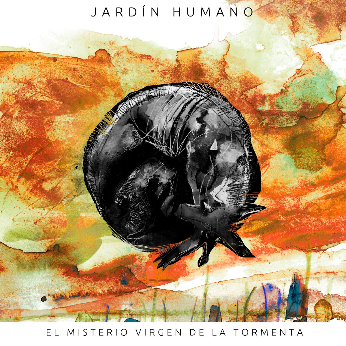 El Misterio Virgen de la Tormenta | Jardín Humano
