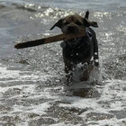 shelleykennedy33 thumbnail