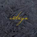 cataya image