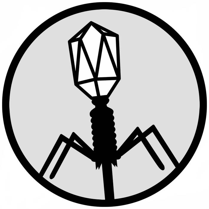 新品未開封！ 幻覚 ／ KILL MOTHER FUCKER 新品未開封！ 幻覚 ／ KILL MOTHER FUCKER 幻覚ライヴDVD『kill mother