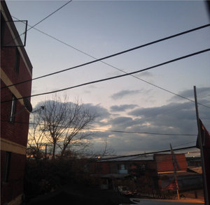 LOYAL — Photo