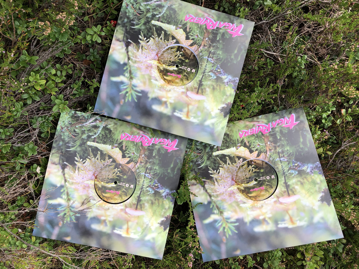 The Chase Scene アナログレコード LP The Chase Scene アナログレコード LP The Chase - The Stugio Session