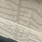 Cade thumbnail