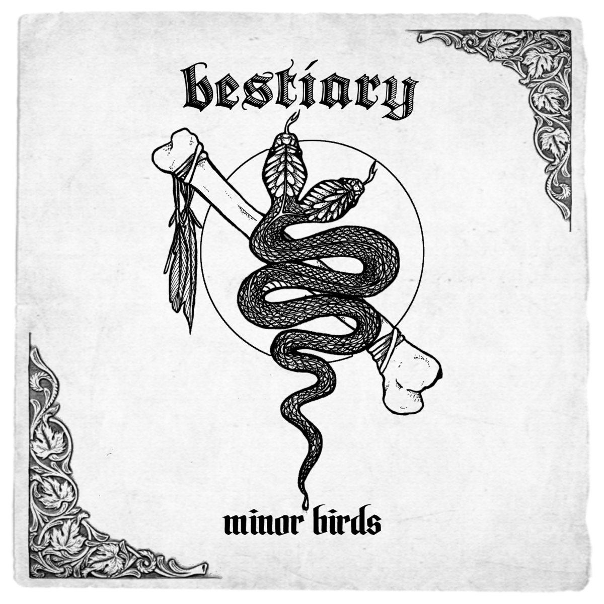 bestiary art book w download minor birds