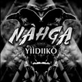 NAHGA - "YIIDIIKO" EP image