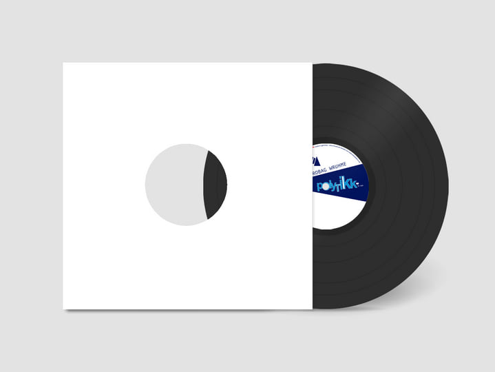 Wighnomy Brothers & Robag Wruhme / Polytikk EP Wighnomy Brothers & Robag Wruhme / Polytikk EP