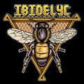 Ibidelyc Recordings LTD image