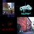 htnyq thumbnail