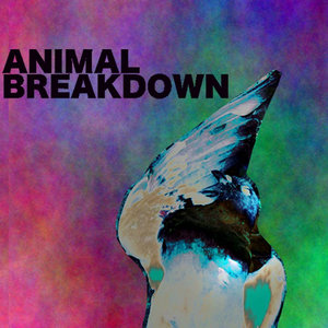 Music | ANIMAL BREAKDOWN