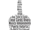 Jose Carlos Guitar T-Shirt photo 