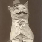 Mr. Kerple thumbnail