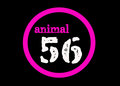 Animal 56 image