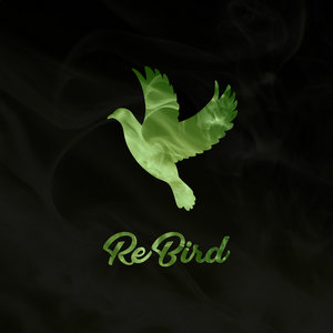 Music | ReBird