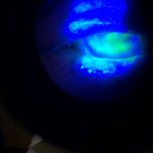 inplanesite thumbnail
