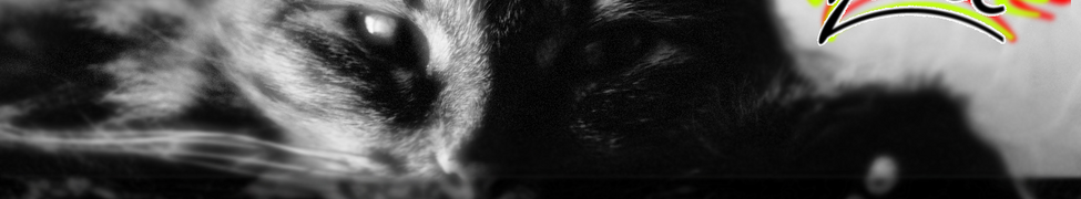 Juice — Photo