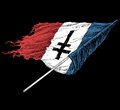 We Are French, Fuck You! image