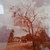 Bandcamp profile picture for @hospital