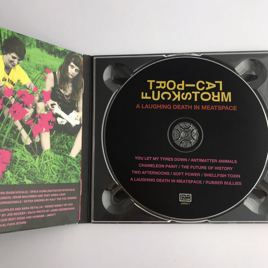 A Laughing Death in Meatspace | TFS