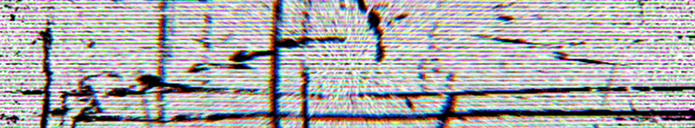 XIAO — Photo