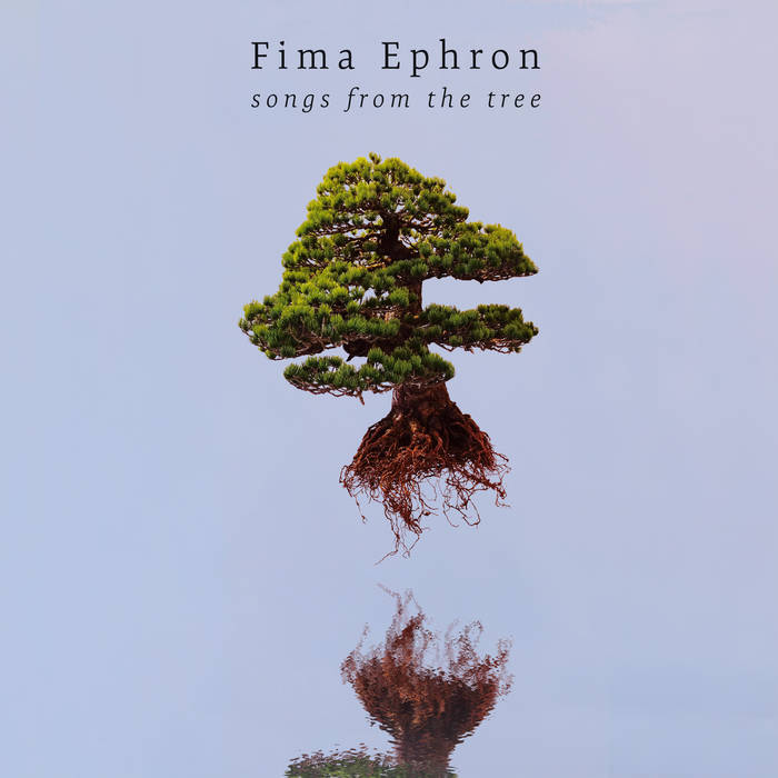 Songs From The Tree | Fima Ephron
