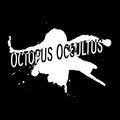 Octopus Occultus image