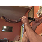 Yishai Adam thumbnail