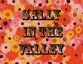 Sally In The Valley image