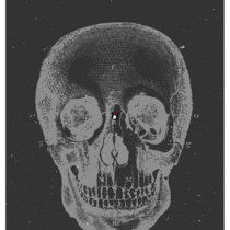 bio image of the band CASCARA Sagrada