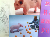 Pig Views CD/LP Bundle photo 