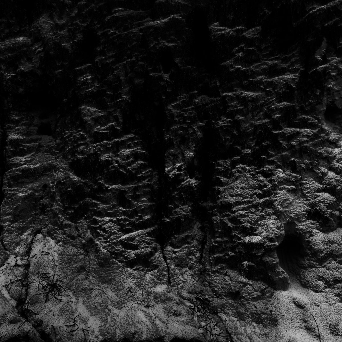 Melodic Entities EP Trip Leg