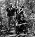 Crypteria photo
