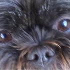 Dr Wino thumbnail
